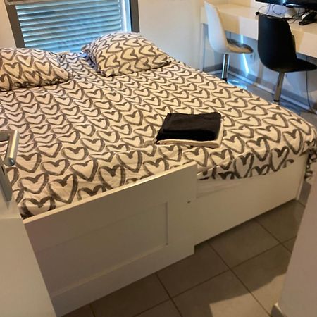 Superbe Appartement Avec Terrasse ตูลูส ภายนอก รูปภาพ